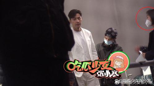 娱乐吃瓜张小寒视频全集,揭秘娱乐圈幕后故事